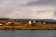 2025-Lofoten-Diashow-69-von-597