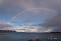 2025-Lofoten-Diashow-71-von-597