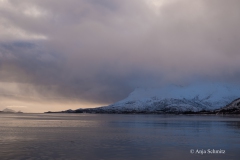 2025-Lofoten-Diashow-79-von-597