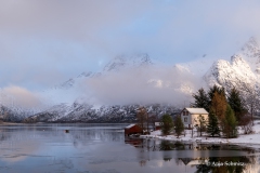 2025-Lofoten-Diashow-82-von-597